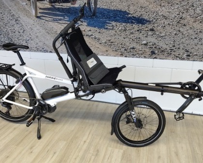 Hase Pino showroom model